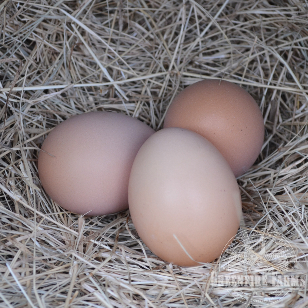 Pita Pinta Asturiana