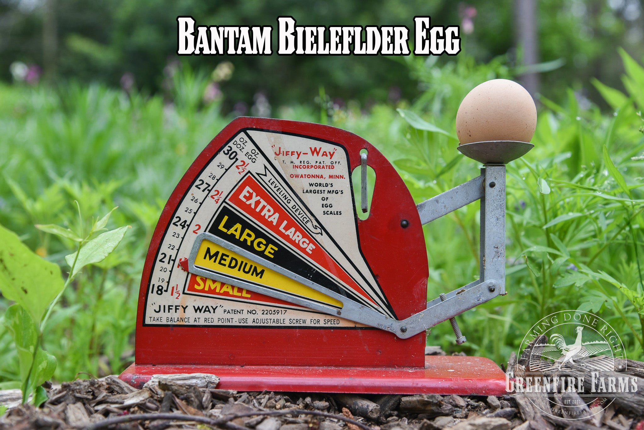 Beginners Assortment