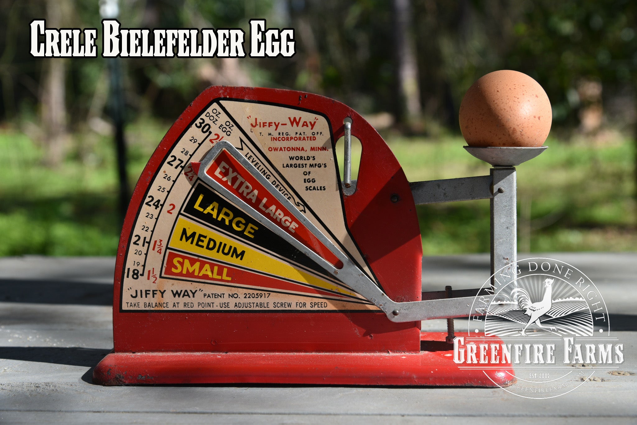 Beginners Assortment