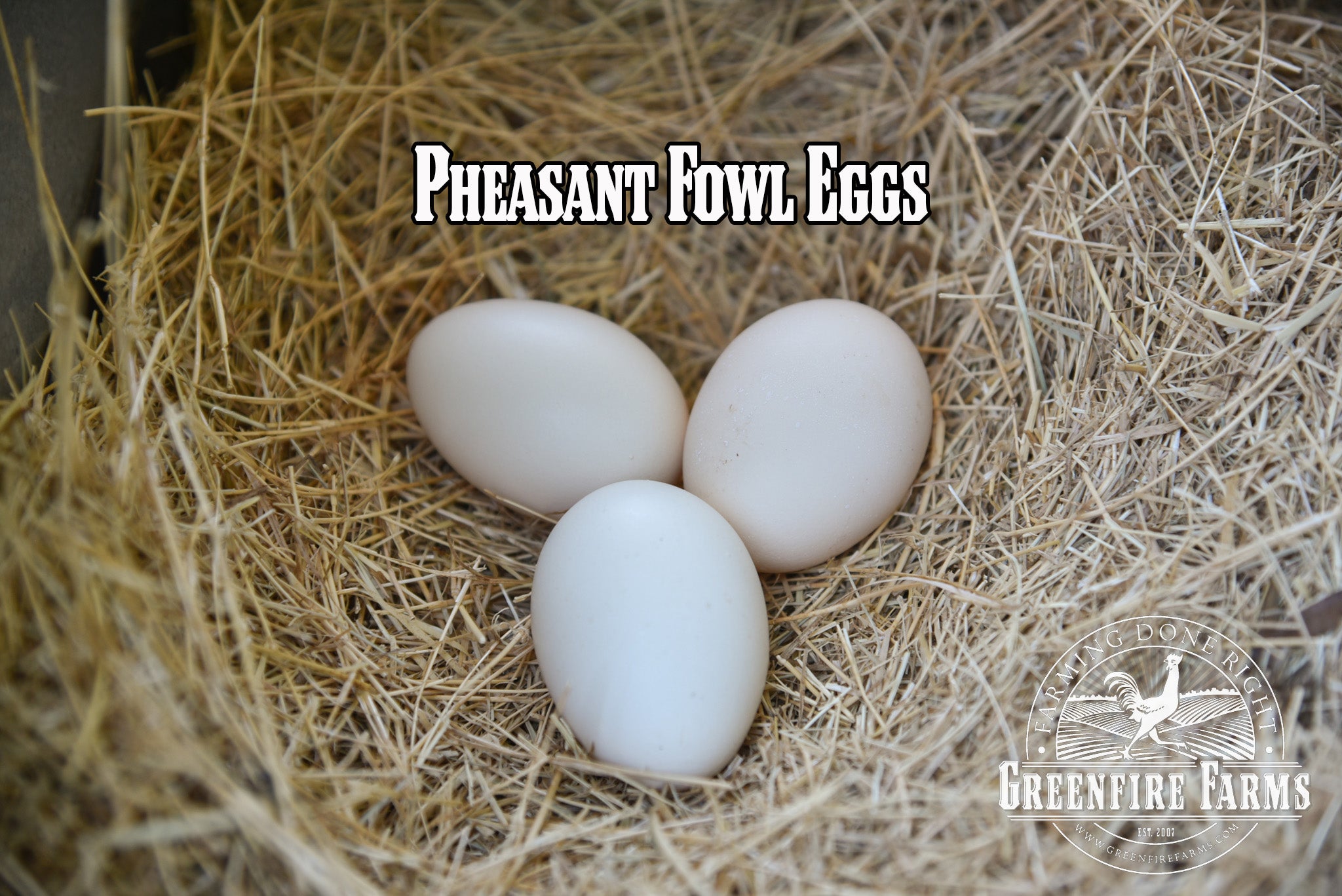 Best Egg-Layers Assortment