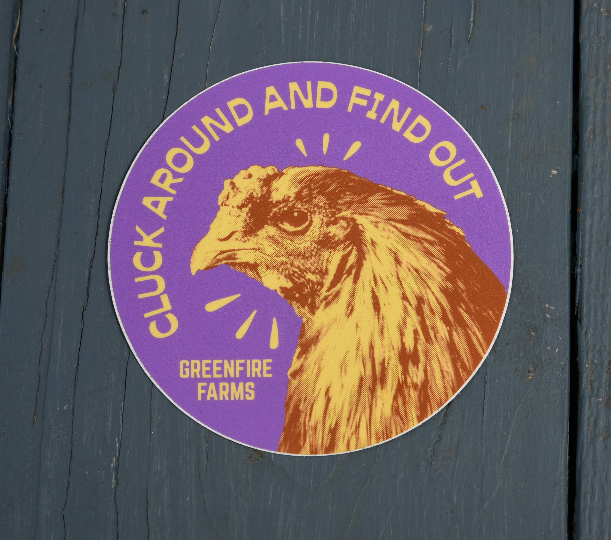 Cluck Around and Find Out Sticker