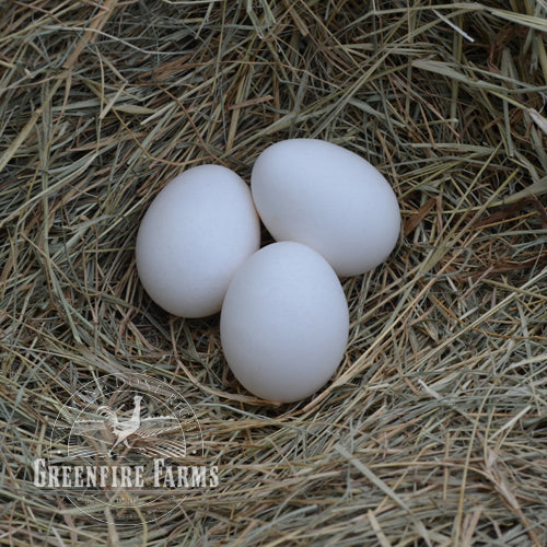 Spitzhauben Assortment